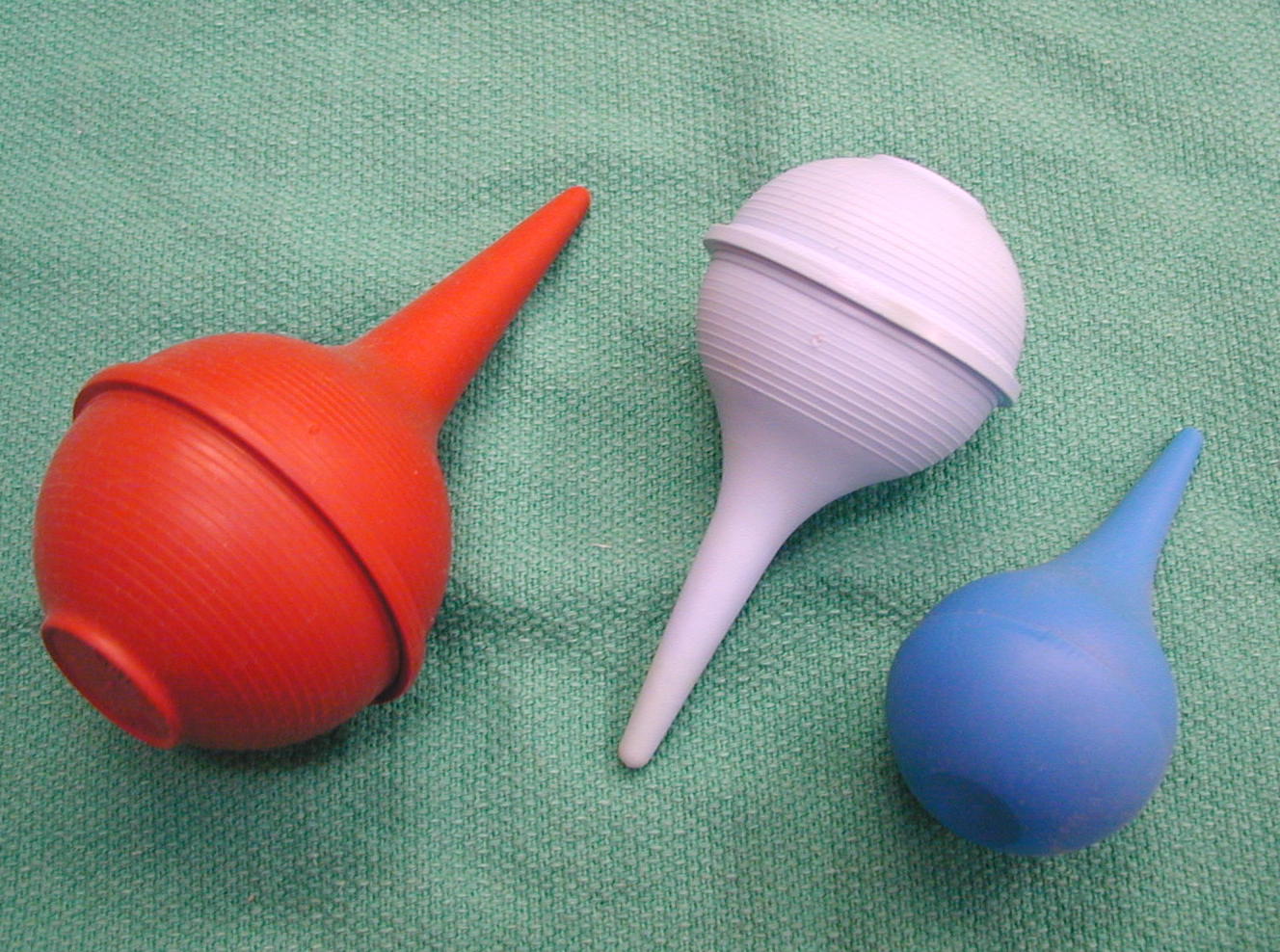 Biology2404 A&P Basics